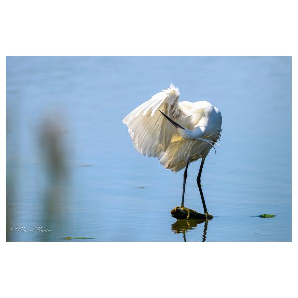 PHOTO84, CLUB, 84 , LUBERON